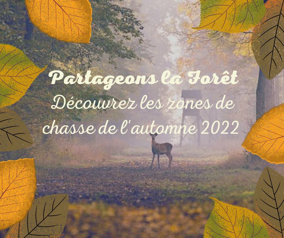 🍂 Partageons la forêt - Chasses 2022 🍂